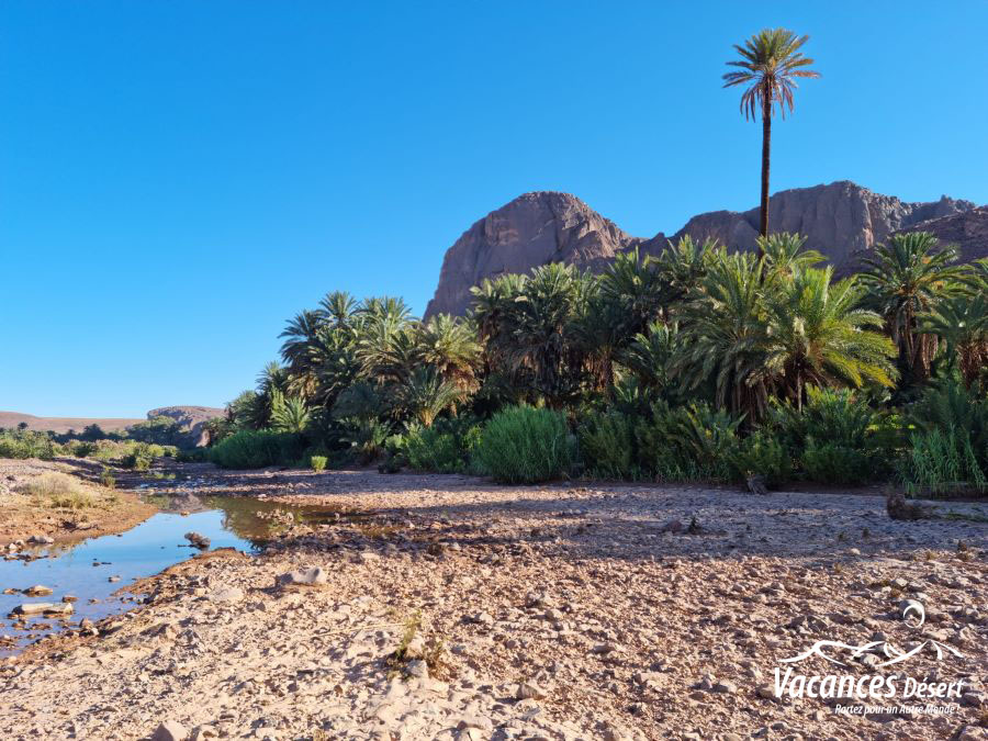 Séjour de luxe au Maroc : l'excellence du voyage sur mesure 